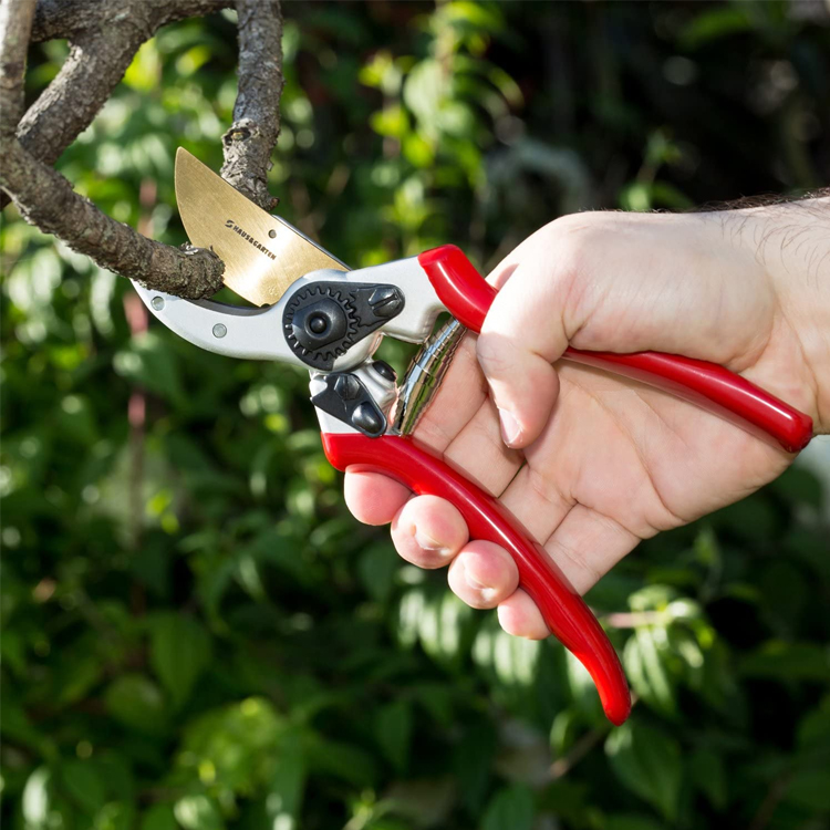 Trimmer